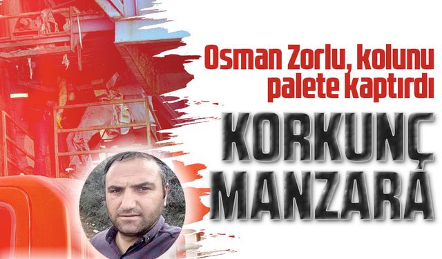 Gümüşhane'de Katı Atık Aktarma İstasyonunda Kaza: Osman Zorlu'nun Kolu Koptu