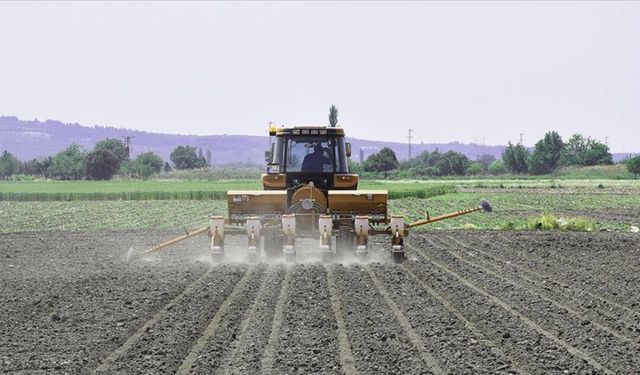 Çiftçilere Müjde: Tarımsal Destek Ödemeleri Hesaplara Yatırıldı!