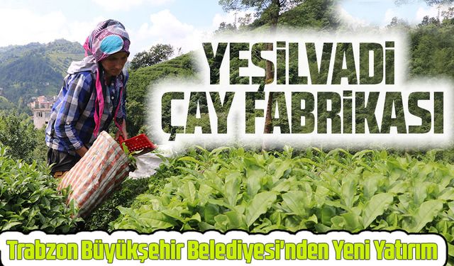 Trabzon Büyükşehir Belediyesi'nden Yeni Yatırım: Yeşilvadi çay fabrikası