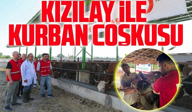 Türk Kızılay'ı Kurban Bayramı'nda 20 Ülkede Kesimlere Başladı
