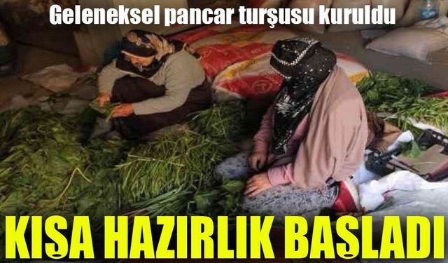 Bayburtlu Kadınların Kışlık Hazırlıkları Başladı: Konserve ve Turşu Mesaisi!