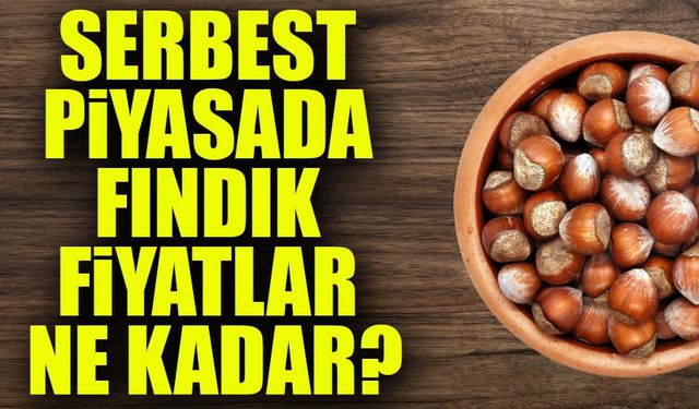 Serbest Piyasada Fındık Fiyatları Randımana Bağlı Olarak Düşüyor