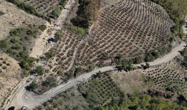 Başkan Sandıkçı’dan dron ile kontrol