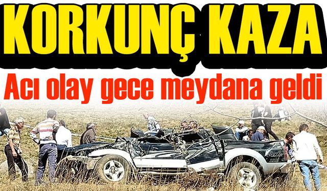 Gümüşhane’de Kamyonet Kazasında 2 Kişi Hayatını Kaybetti