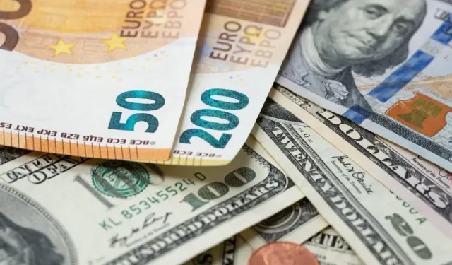 Euro Gerilemeye Devam Ediyor, Dolar Yükselişte! 29 Ekim 2024 Güncel Döviz Fiyatları