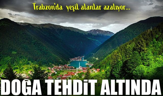 Trabzon'da Yeşil Alarm: Kentsel Rant, Doğayı Tehdit Ediyor