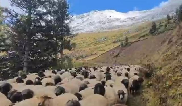 Kadırga Yaylası’ndan Mezralara Zorlu Yolculuk: 3 Günde Ulaştılar