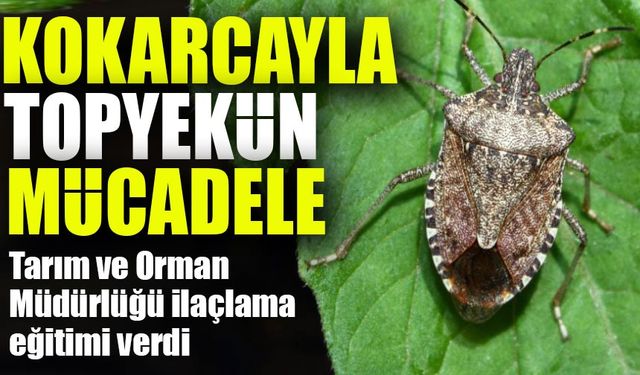 Bulancak’ta Zirai İlaçlama Eğitimi: Topyekün Mücadele Başladı