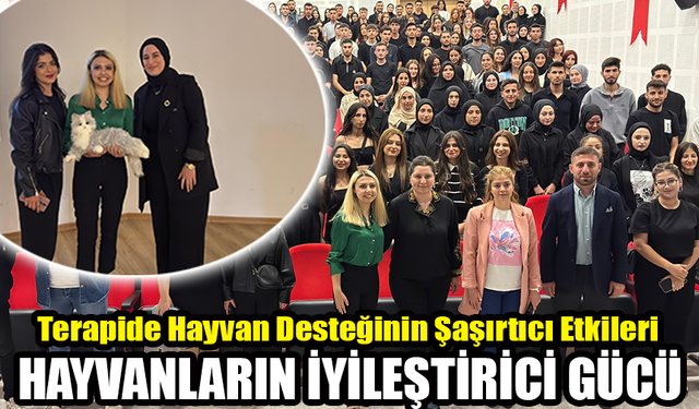 Evcil Hayvanlarla Rahatlama: Hayvan Destekli Tedavi Söyleşisi