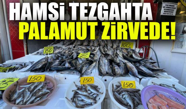 Rize'de Hamsi Şok Fiyata Tezgahlarda! 200 TL'ye Ulaştı; Hamsi Tezgaha Ateş Pahasıyla Girdi!