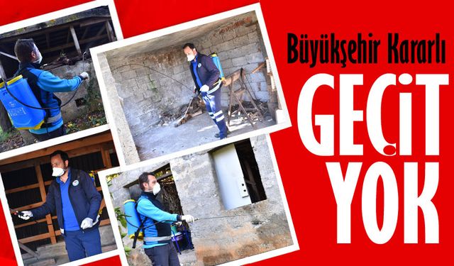 Büyükşehir Kararlı, kokarcaya geçit yok