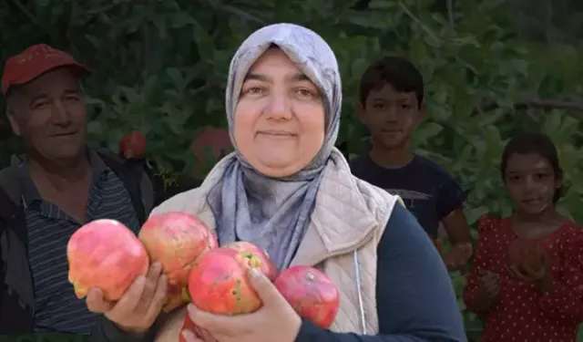 Bu Şehirden Türkiye'ye Nar İhracı: Fiyatlar Yüzde 50 Düştü!