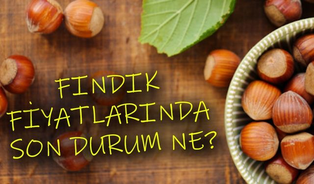 Fındık Fiyatlarında Şok Artış! Rekora Doğru Gidiyor!