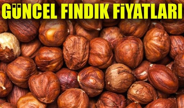 Fındık Fiyatlarında Son Durum: Üreticiler ve Tüketiciler İçin Kritik Gelişmeler