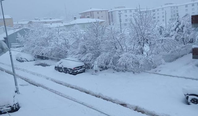 Samsun’a mevisimin ilk karı yağdı