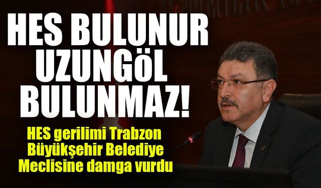 Uzungöl HES gerilimi Trabzon Büyükşehir Belediye Meclisine damga vurdu