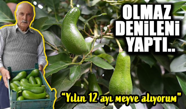 Olmaz Denileni Yapan Öğretmen: 200 Farklı Meyve Yetiştiriyor!