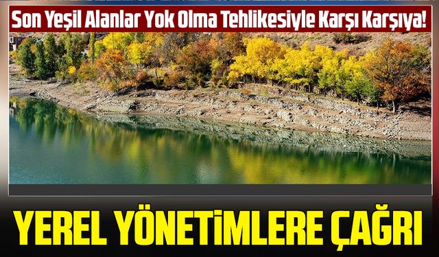 Çoruh Nehri’nin Kıyısındaki Son Yeşil Alanlar Yok Olma Tehlikesiyle Karşı Karşıya!