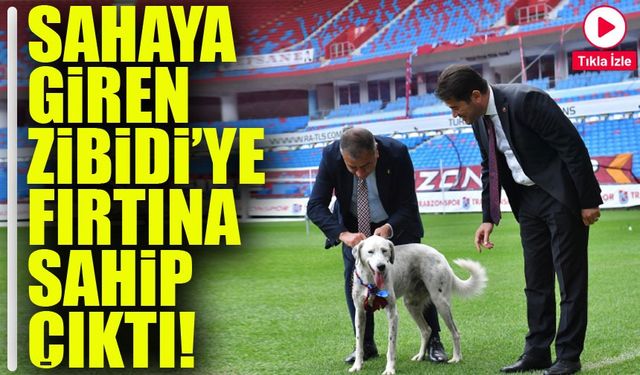 Sahaya Giren "Zibidi" Artık Trabzonspor'un Resmi Maskotu: Yeni İsmi "Fırtına"