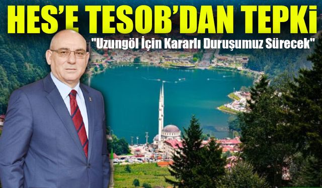 Uzungöl’de Planlanan HES Projesine TESOB’dan Tepki: "Doğayı Korumalıyız!"