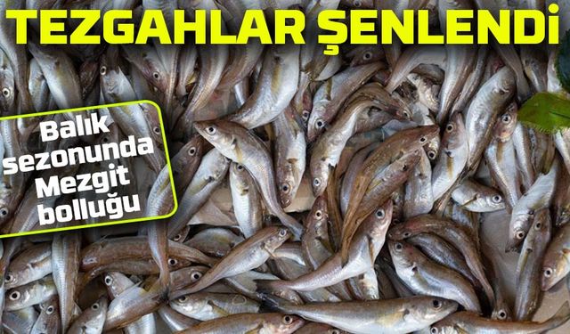 Mezgit Tezgahları Şenlendirdi! Fiyatlar 100 TL'ye Kadar Düştü