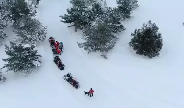 Ergan Dağı'nda Heyecan Dolu Tatbikat! Jandarma ve UMKE Göreve Hazır