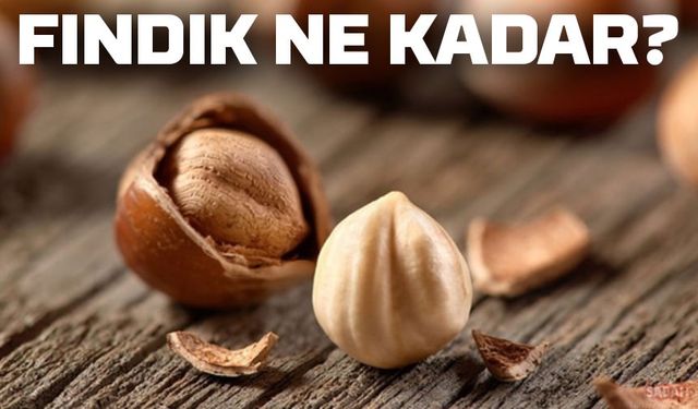 Fındık Fiyatlarında Şok Düşüş! Üretici Ne Yapacak?