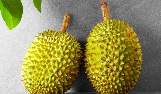 Durian Meyvesi: Kokan Ama Faydalarıyla Şaşırtan Meyvelerin Kralı!