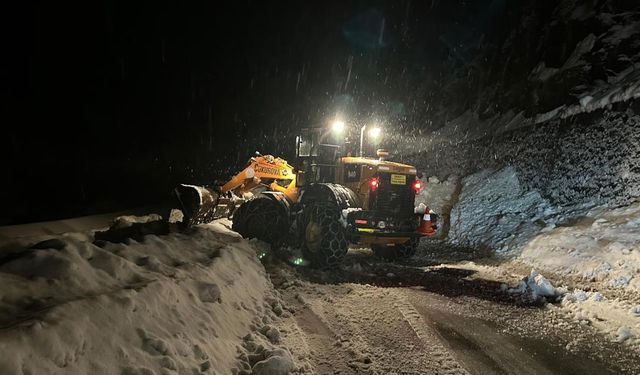 Ayder Yaylası Yolunda Çığ Felaketi: Trafik 1 Saat Durdu!