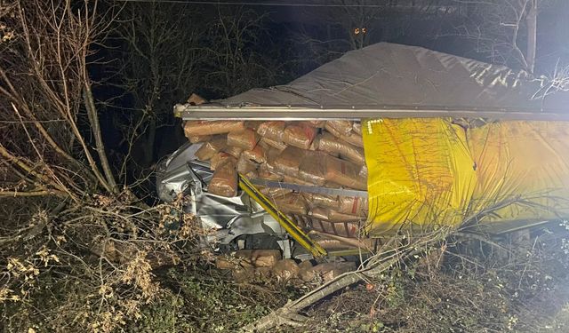 Samsun’da şarampole devrilen TIR’ın sürücüsü yaralandı