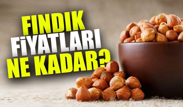 Fındık Fiyatları Düşüşte: Üreticiler Endişeli!