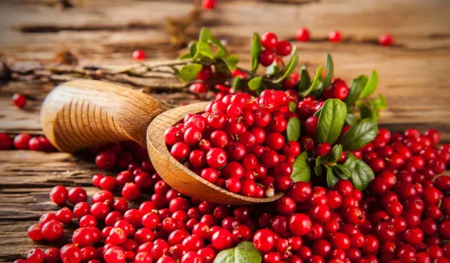 Cranberry'nin Sağlık Sırları: Turna Yemişi Faydaları Nelerdir?