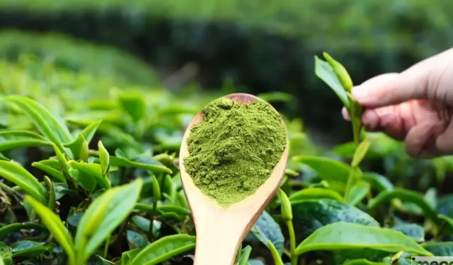 Matcha Çayı: Enerji Veren ve Metabolizmayı Hızlandıran Doğal Mucize