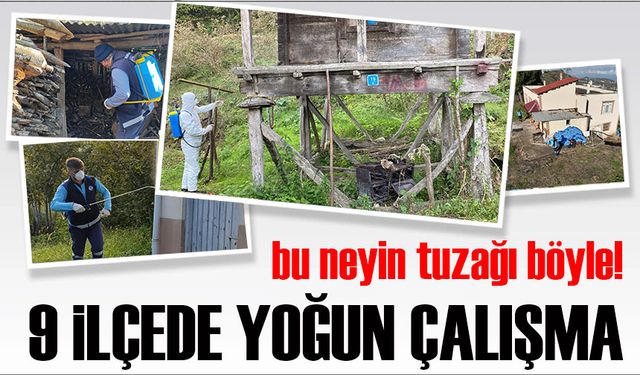 Büyükşehir Kokarcayla Mücadelede 17 Bin Noktayı İlaçladı