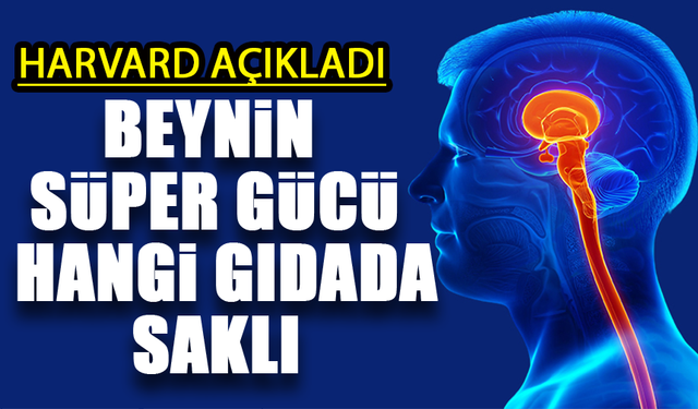 Harvard’dan Çarpıcı Araştırma: Beynin Süper Gücü Bakın Nerede Saklı?