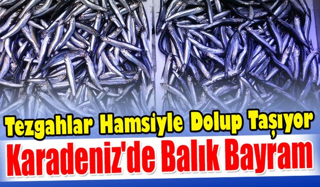 Tezgahlar Hamsiyle Dolup Taşıyor: Karadeniz'de Balık Bayram