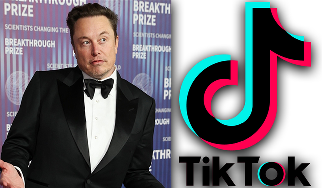 Elon Musk, TikTok'un ABD Operasyonlarını Satın Alabilir