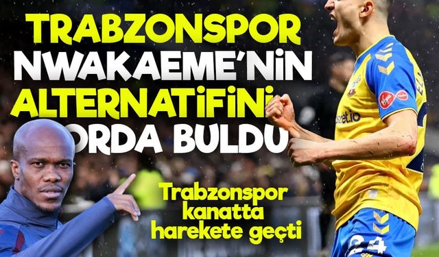 Trabzonspor'da Başkan Kanata Norveçli Yıldız Transferi Getiriyor: 30 Yaşında Canavar...