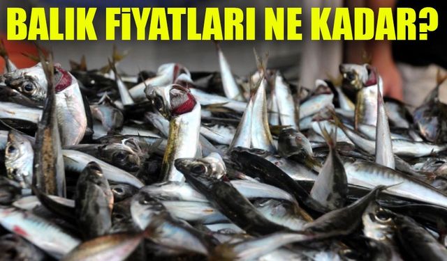 Tezgahlarda Fiyatlar Netleşti: Giresun’da Balık Alacaklar Bu Listeye Bakmalı!