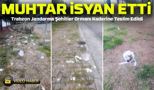 Trabzon-Giresun Sınırındaki Jandarma Şehitler Ormanı Kaderine Terk Edildi!