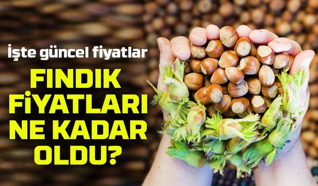 Fındık Fiyatlarında Şok Artış! Güncel Rakamlar Üreticiyi Sevindirdi