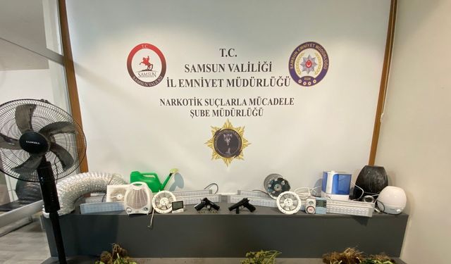 Samsun'da yabancı madde operasyonunda 3 gözaltı; özel odada kenevir yetiştirmiş