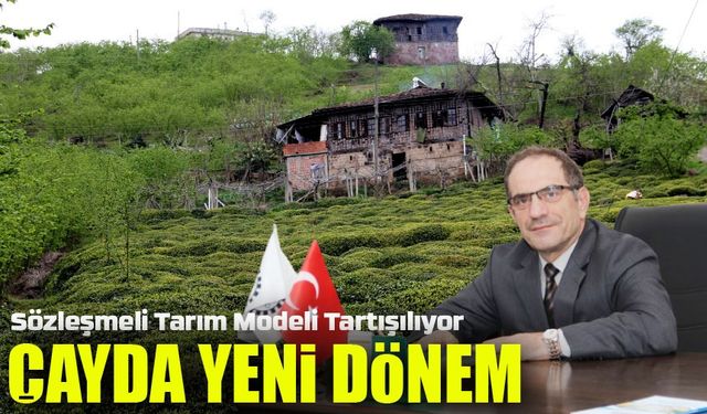 Çay Sektöründe Sözleşmeli Tarım Beklenen İlgiyi Görmedi! Üretici Neden Mesafeli?