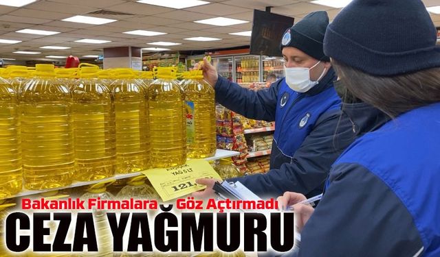 Fahiş Fiyat ve Stokçuluğa Rekor Ceza! Bakanlık Firmalara Göz Açtırmadı