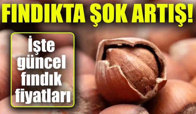 Fındık Fiyatları Düşüyor! İşte En Güncel Rakamlar