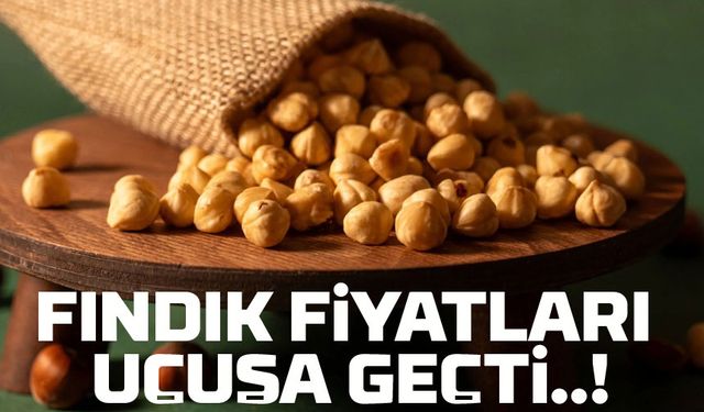 Üretici Dikkat! Fındık Fiyatları Değişti, İşte Bugünün Rakamları