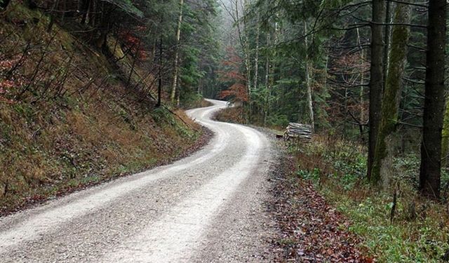 ORMAN YOLU YAPTIRILACAKTIR