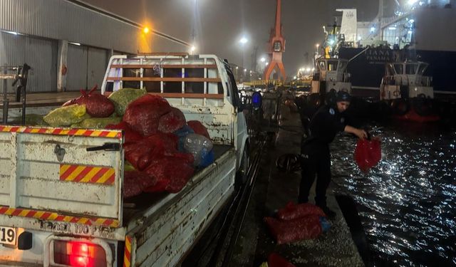 Samsun’da 2 Ton Kaçak Midye Ele Geçirildi