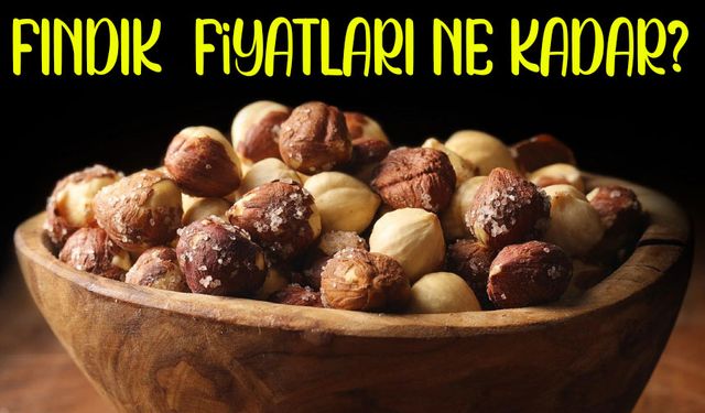 Fındık Fiyatlarında Şok Artış! Üretici ve Tüccar Ne Yapacağını Bilemiyor