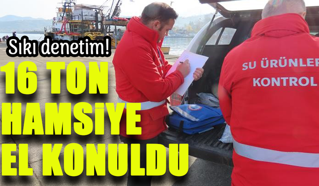 16 Ton Hamsiye El Konuldu: Trabzon’da Av Sezonunda Sıkı Denetim